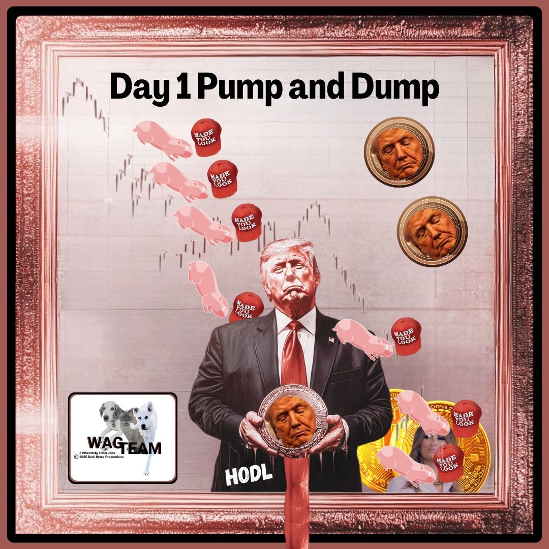 A satirical illustration set in an ornate rose-gold frame showing DFT in his signature ill-fitting suit, holding a comically large cryptocurrency coin bearing his own perpetually disgruntled face. Behind him, a stock market chart plummets dramatically, because of course it does. Pink piggy banks wearing MAGA hats float upward like sacrificial offerings, while two larger Trump coins hover in the upper right, looking as smug as inanimate objects possibly can. The word 'HODL' appears below him, dripping like melting gold or possibly the tears of his supporters. A small WAG TEAM logo featuring three animals appears in the corner, as if they're watching this train wreck with the rest of us. The entire image has the aesthetics of a financial chart crossed with a fever dream, rendered in shades of rose gold that somehow make it even more unsettling.