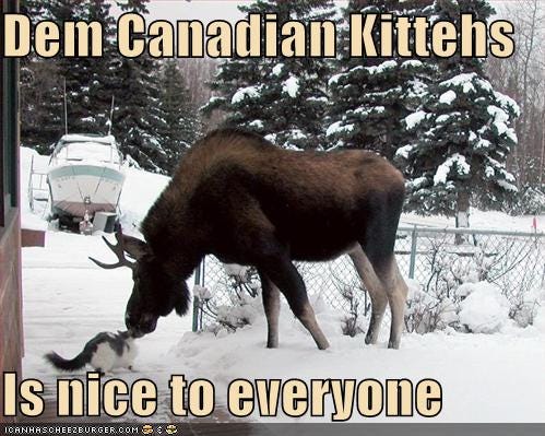 Canada Cats