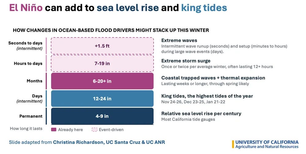 Here's the version of Christina Richardson's graphic I shared yesterday showing the (not yet present) "stacking" effect of our extreme El Nino event atop king tides (in Nov-Jan) and long-term sea level rise, plus possible storm surge and waves above that! Here's the version of Christina Richardson's graphic I shared yesterday showing the (not yet present) "stacking" effect of our extreme El Nino event atop king tides (in Nov-Jan) and long-term sea level rise, plus possible storm surge and waves above that!