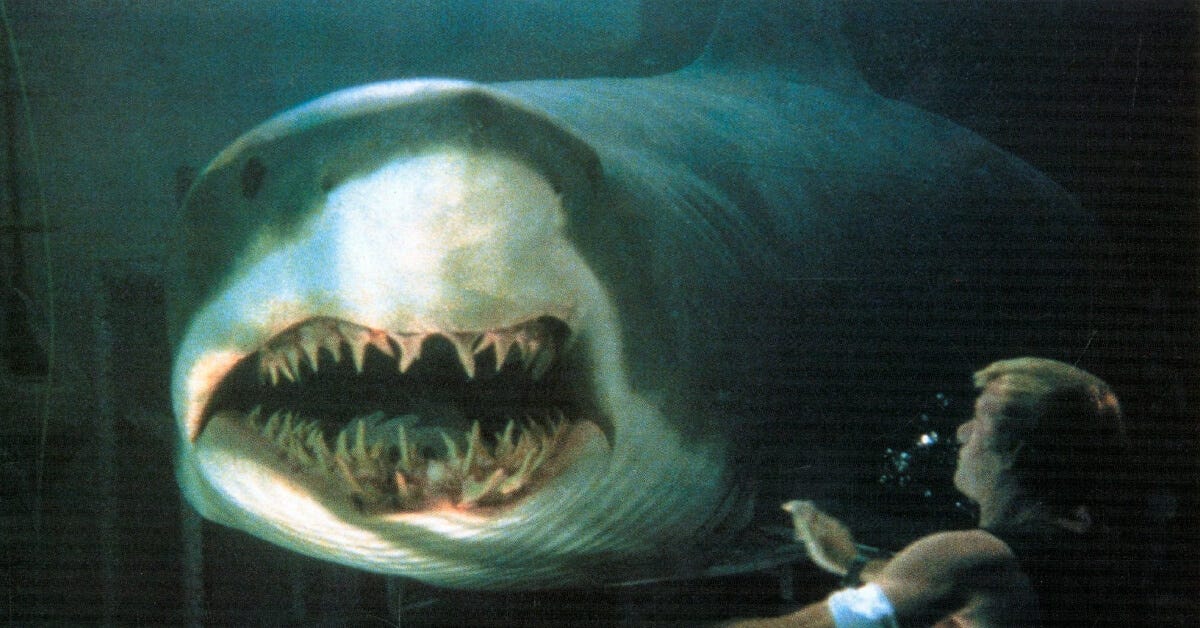 A close-up of a tiger shark’s gaping maw, teeth bared as it approaches Thomas Jane underwater.