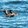 Loon A. See's avatar