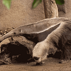 First One's Bad! Tabs, Wed., April 15, 2026