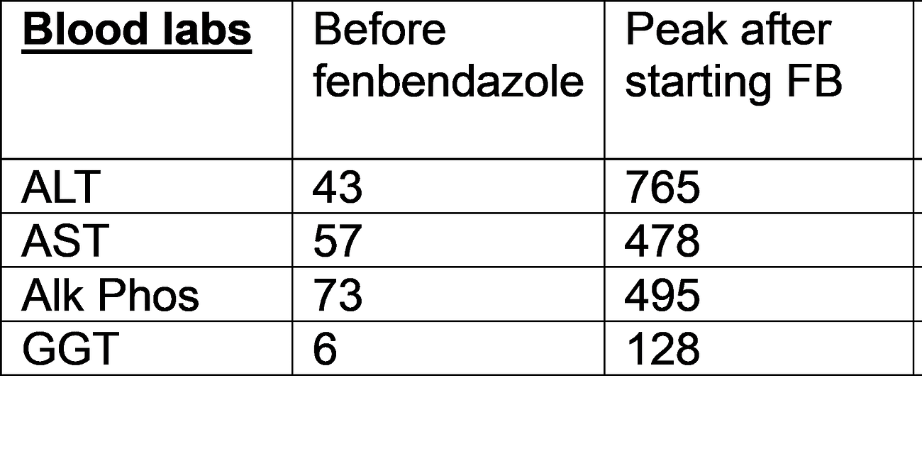 Another view on Fenbendazole? DR. COLLEEN HUBER says so & I wrote on Fenbendazole as an anti-cancer therapeutic yet HUBER clarifies points that you should know! Balance is key & both sides, I find