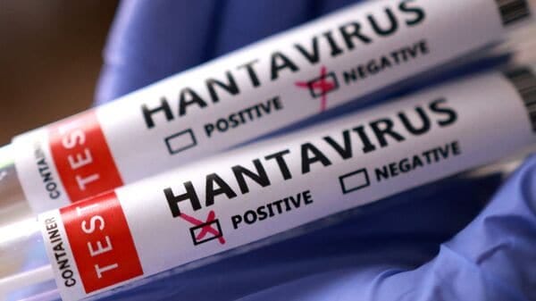 This 2022 tweet 'predicted' end of Coronavirus in 2023, Hantavirus outbreak  in 2026 | Today News