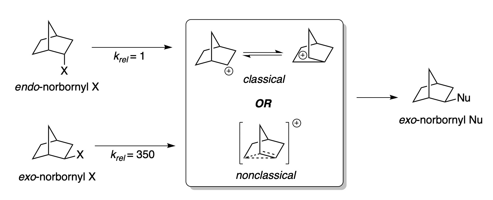 Looking Back on the Norbornyl Cation - Corin Wagen