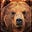 BearHogue's avatar