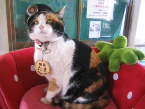 Feline_Stationmaster_Tama Feline_Stationmaster_Tama