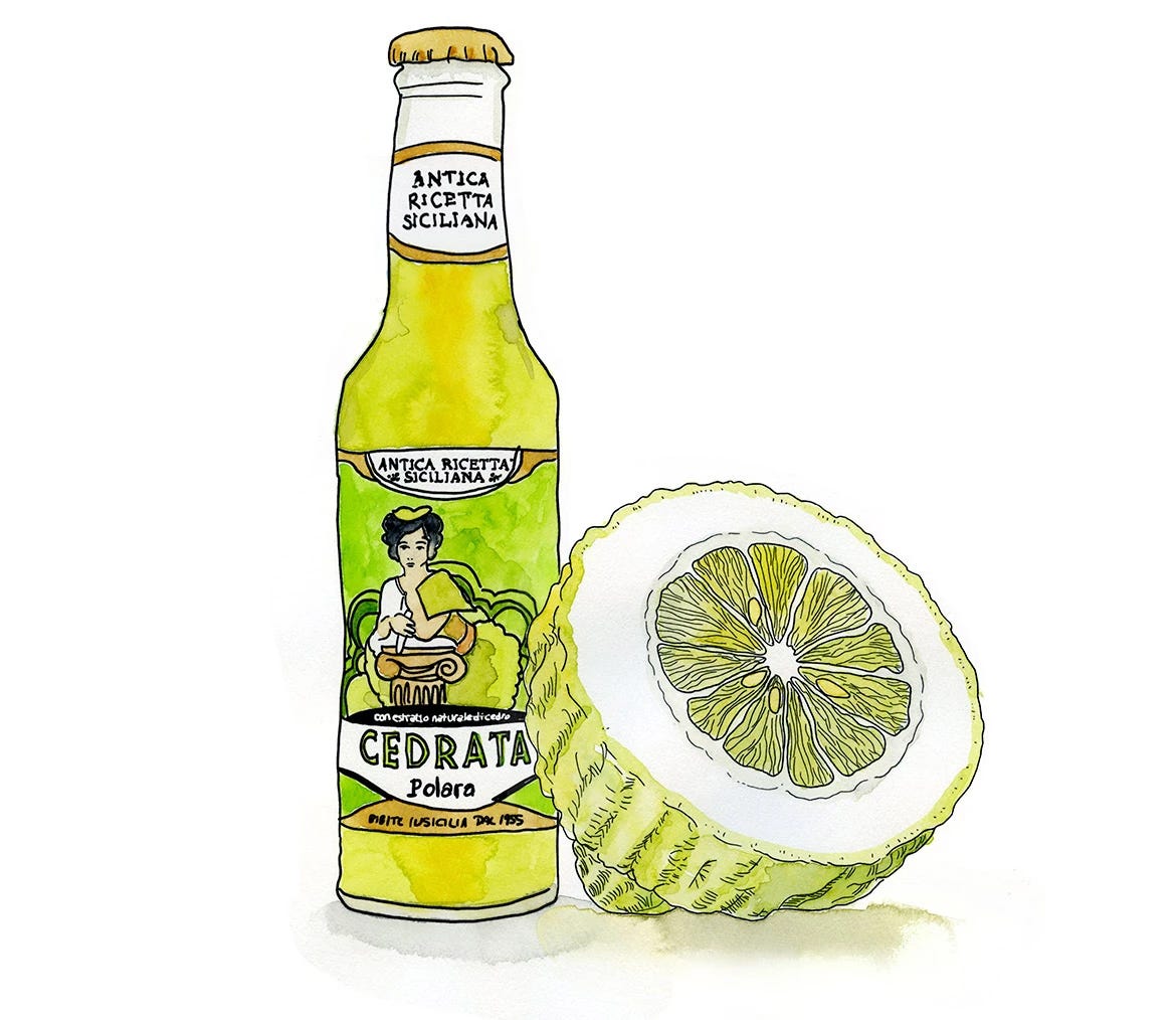 Watercolor and liner pen sketch of a bottle of Sicilian Cedrata soda beside a citron cut in half, showing its thick rind and very little flesh Watercolor and liner pen sketch of a bottle of Sicilian Cedrata soda beside a citron cut in half, showing its thick rind and very little flesh