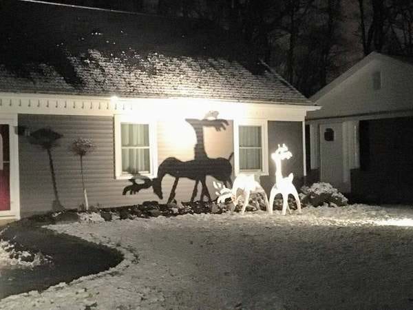 A very 2020 Christmas! - Credit: emperor_piglet/Reddit A very 2020 Christmas! - Credit: emperor_piglet/Reddit