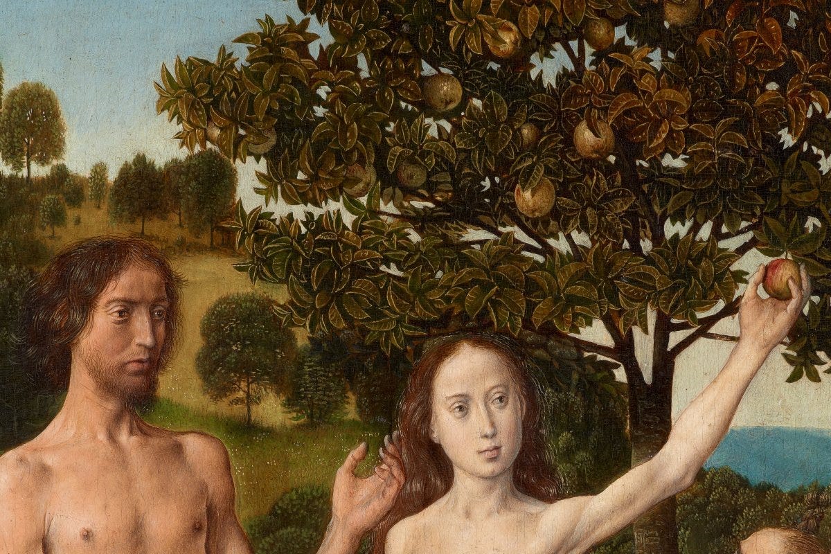 Firebrand Rewind: Toward a Wesleyan Understanding of 'Original Sin' —  Firebrand Magazine