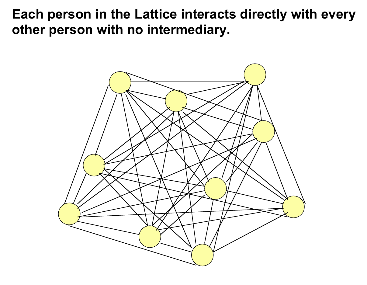 Visual diagram of a lattice organization structure showing interconnected nodes where every team member collaborates directly without managers or intermediaries Visual diagram of a lattice organization structure showing interconnected nodes where every team member collaborates directly without managers or intermediaries