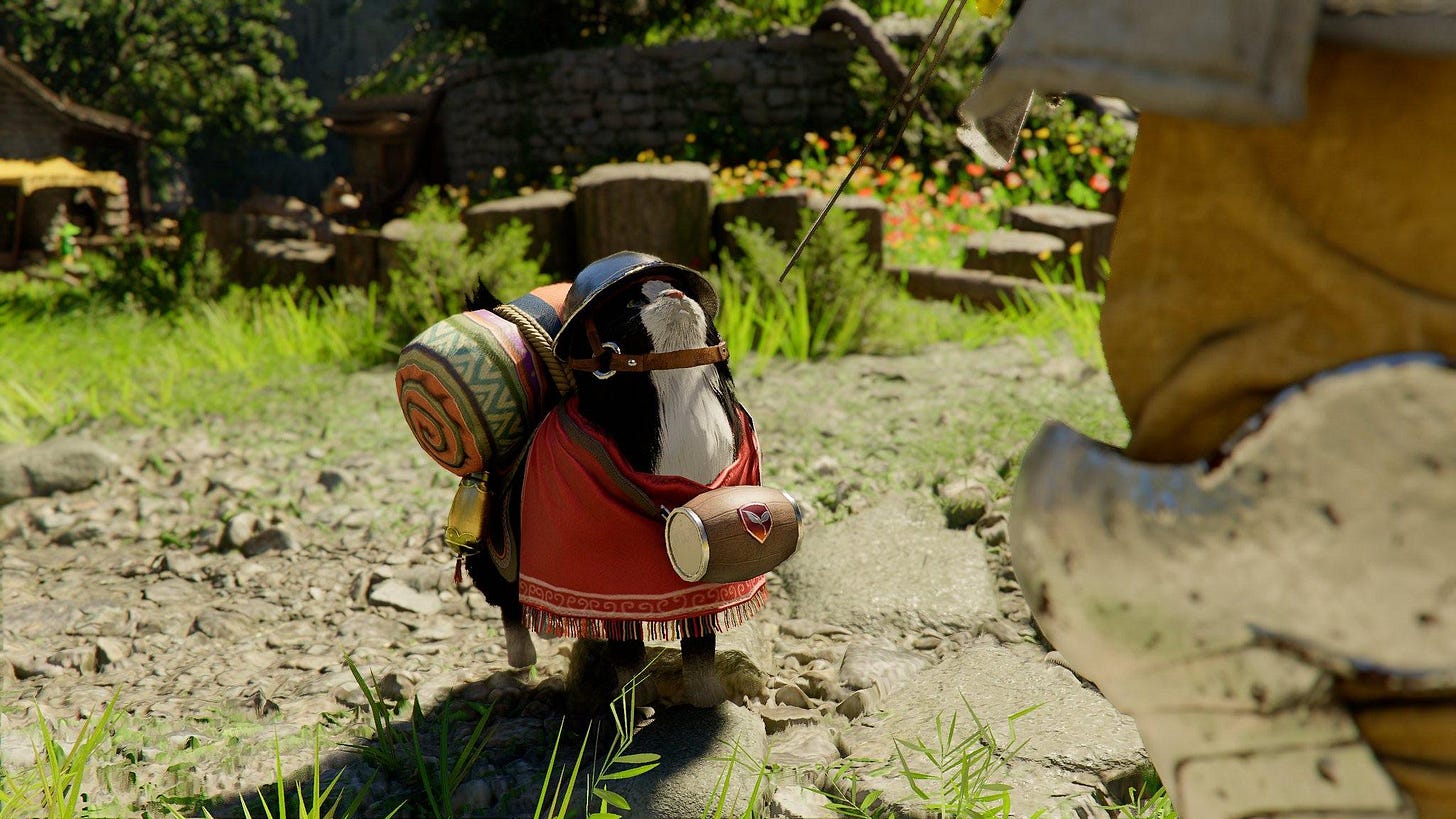 you can gear up your pets in crimson desert. : r/CrimsonDesert