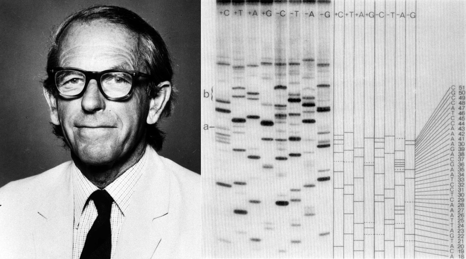 AI-Designed Phages - by Niko McCarty - Asimov Press