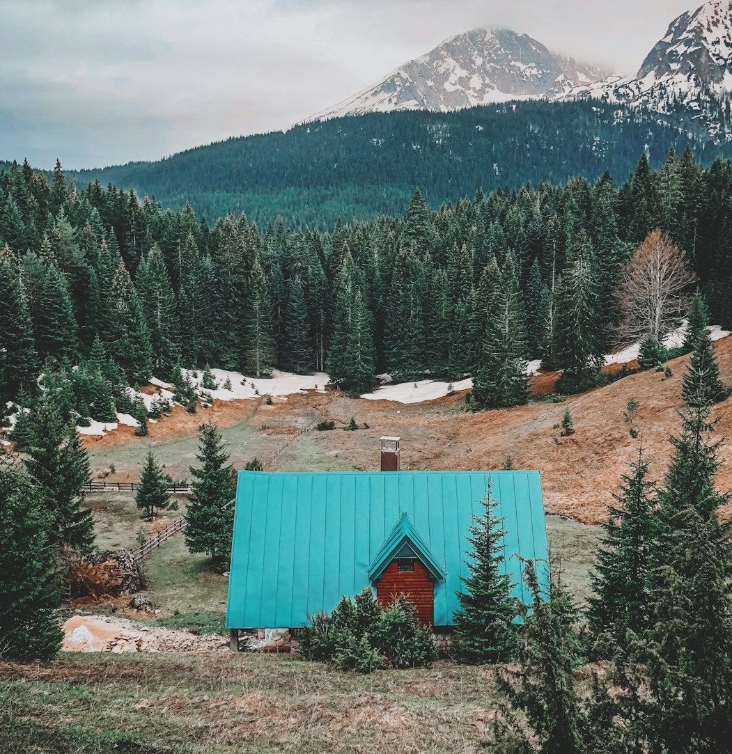 teal roof house surrounded by pine trees