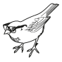 Mary Harrington's avatar