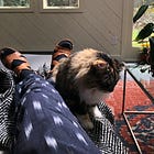 Celebrating 7 years of recovery (in quarantine)