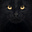 BlackieKat's avatar