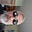 Bob Durnell's avatar