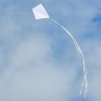 Amazon.com: White 30" Diamond Kite : Toys & Games