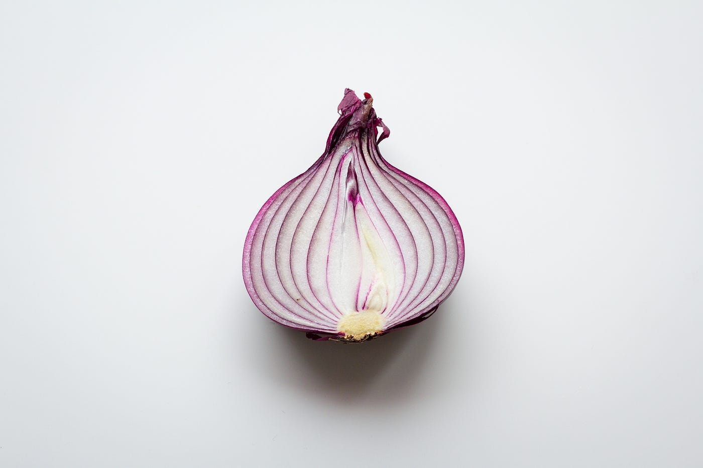 Back to Cooking Basics: The Versatile Onion | by Kevin Lee | Food:  Deconstructed | Medium