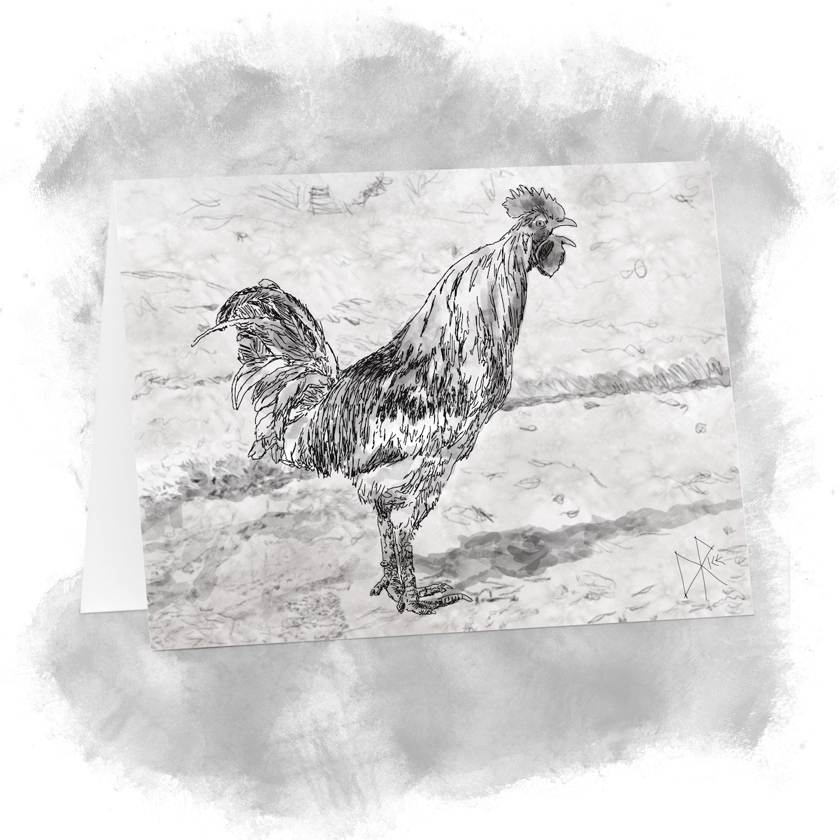 A young cock (or rooster if you prefer), standing in his yard. He is crowing loudly. Sketch art by Don Rice. A young cock (or rooster if you prefer), standing in his yard. He is crowing loudly. Sketch art by Don Rice.