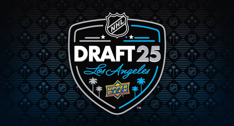 2025 NHL Draft Primer: Everything To Know Ahead Of This Weekend's Draft |  1st Ohio Battery
