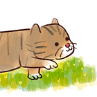 How Beth Spencer used a sneaky kitty to grow to over $10,000 in gross annualized revenue