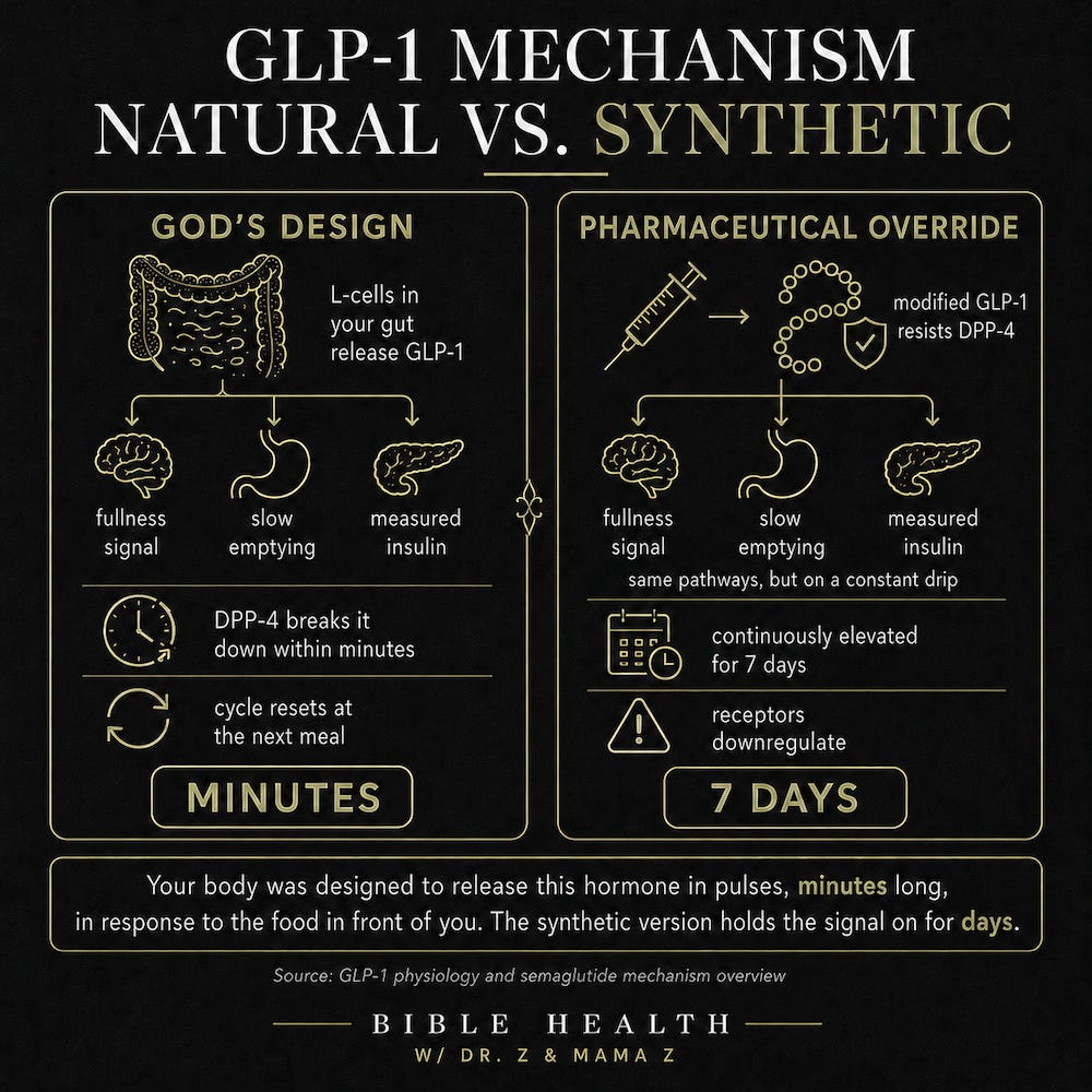 why don t glp 1 work for me GLP-1 Genetics: How Genes Affect Appetite, Semaglutide, and Tirzepatide Response The science of GLP1 medicine