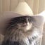 User's avatar