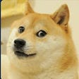 Doge's avatar