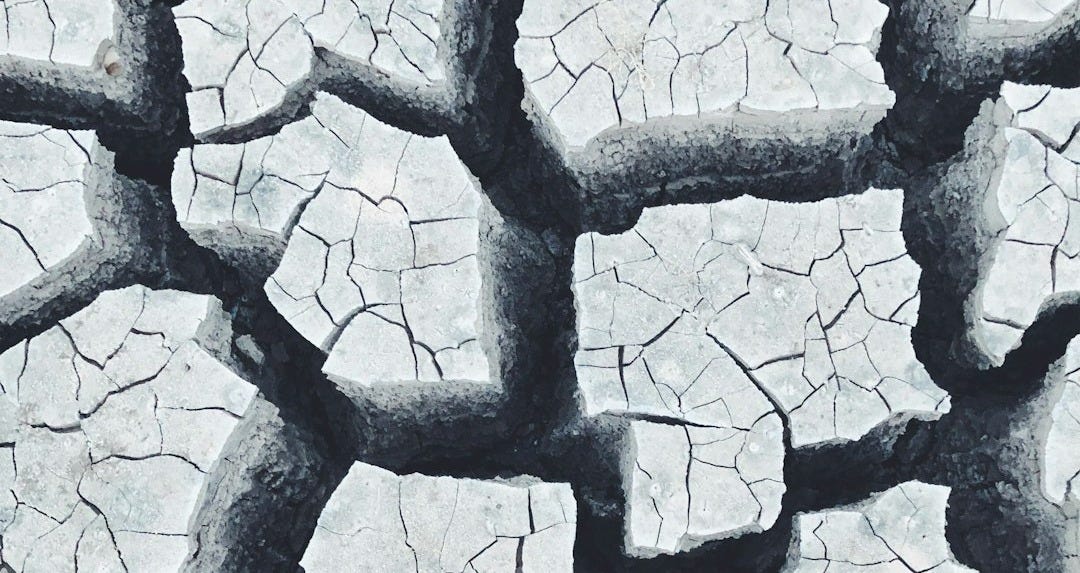 a person standing in the middle of a cracked road