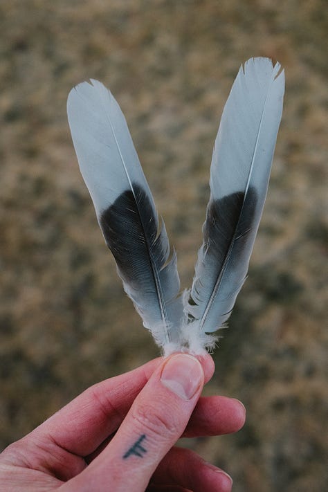 Fuji photographs of life in Montana by Tyler Knott Gregson