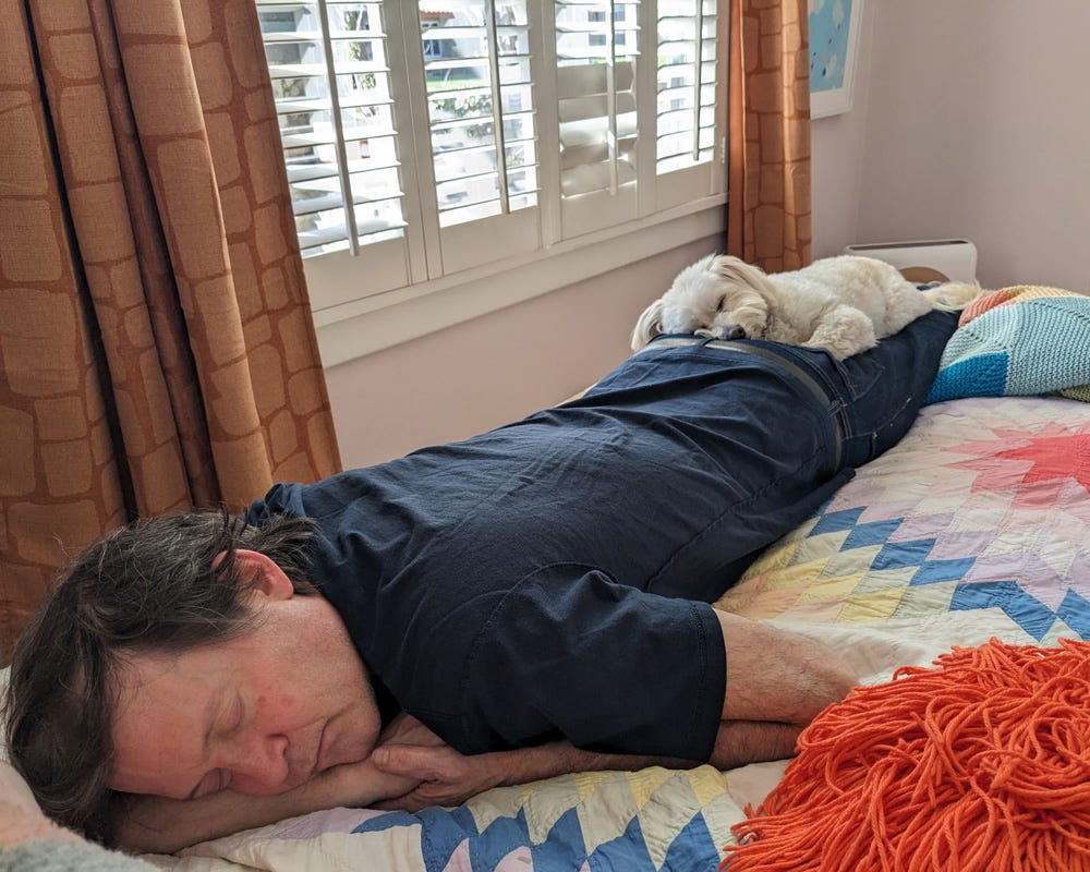 A man wearing a navy blue shirt is lying face down on a colorful quilted bed, resting with his head on his crossed arms. A small, fluffy white dog is curled up on his lower back, also napping. The room has warm lighting, with orange curtains and a window with white shutters in the background.