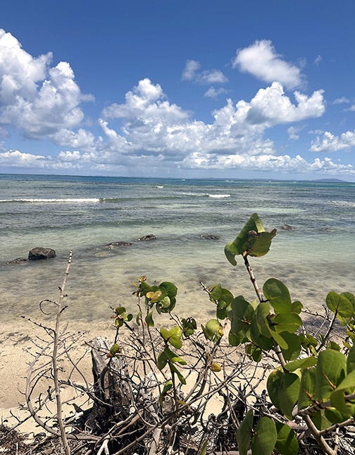The beach at Isla Palominos in Puerto Rico
