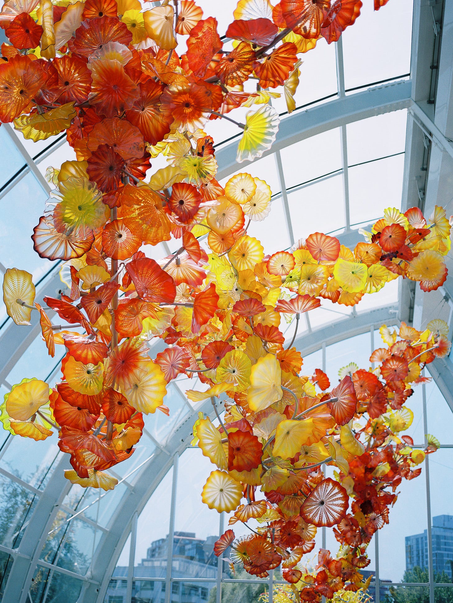 Photo of a hanging glass sculpture by Dale Chihuly Photo of a hanging glass sculpture by Dale Chihuly