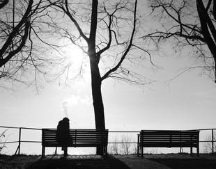 Depression Fog Alone On Park Bench Stock Photo 261570758 | Shutterstock
