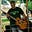 Paul Jeynes's avatar