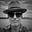 David F Brochu's avatar