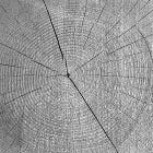 REPRISE: The body is a pour-tal.