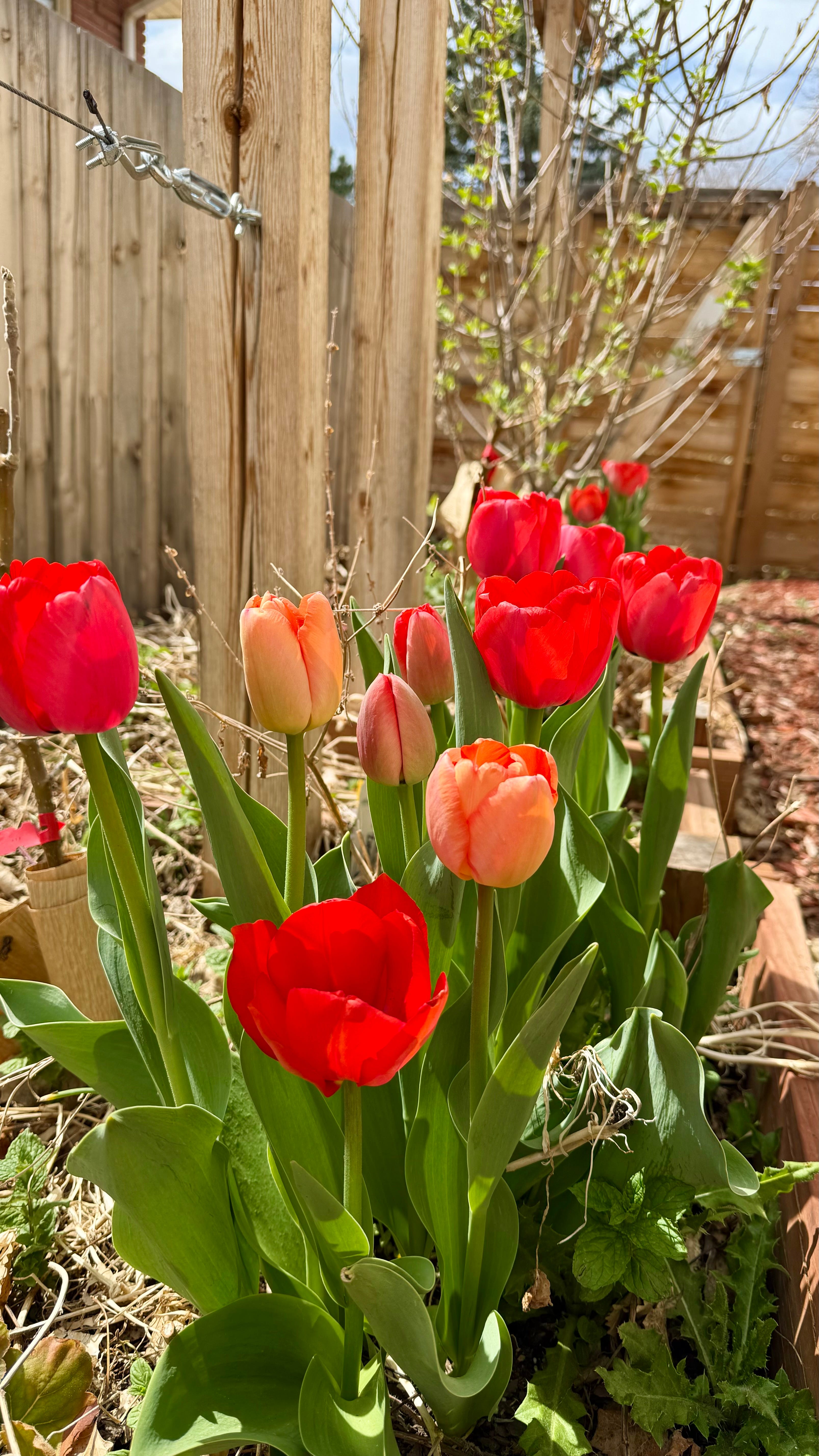 black planters tall Outsunny 28