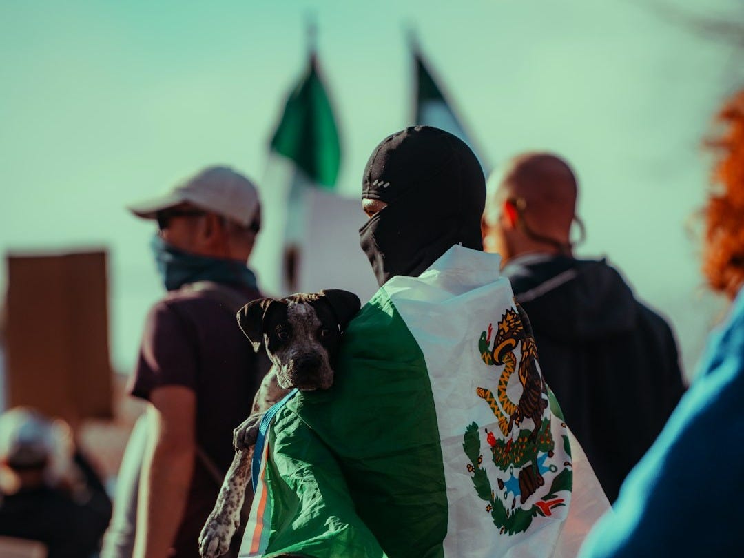 A man carries a dog wrapped in a mexican flag.