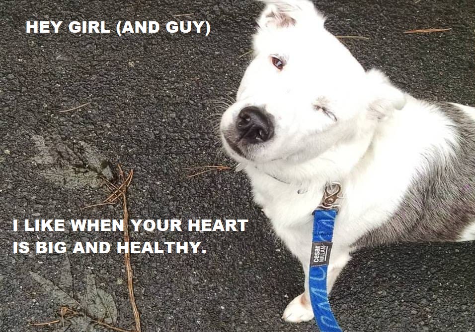 Dude’s back and adorable! Dude’s back and adorable!