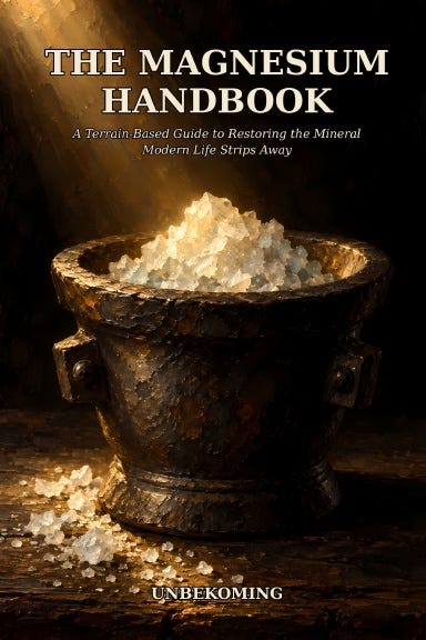 The Magnesium Handbook The Magnesium Handbook