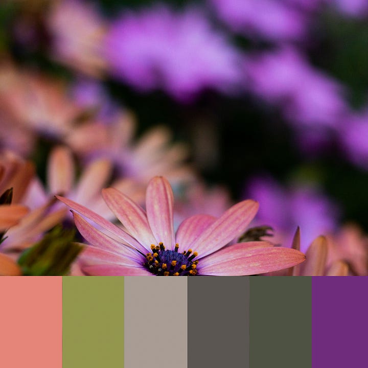 Photos of flowers with swatches of colors inspired by the photo
