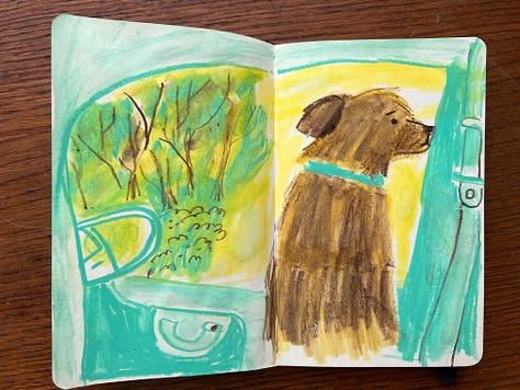 sketchbook illustrations by Beth Spencer