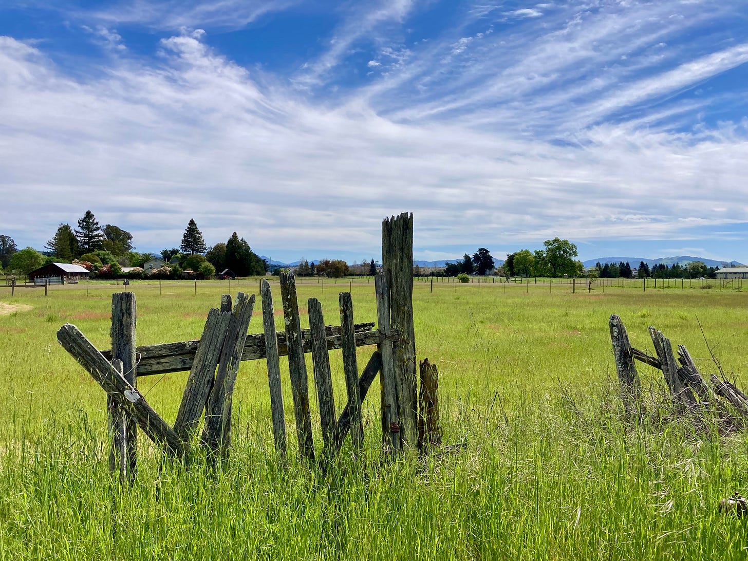 Delapidated wooden farm fence in a green field