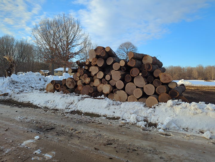Albert stopped by for some ice fishing; a pile of logs