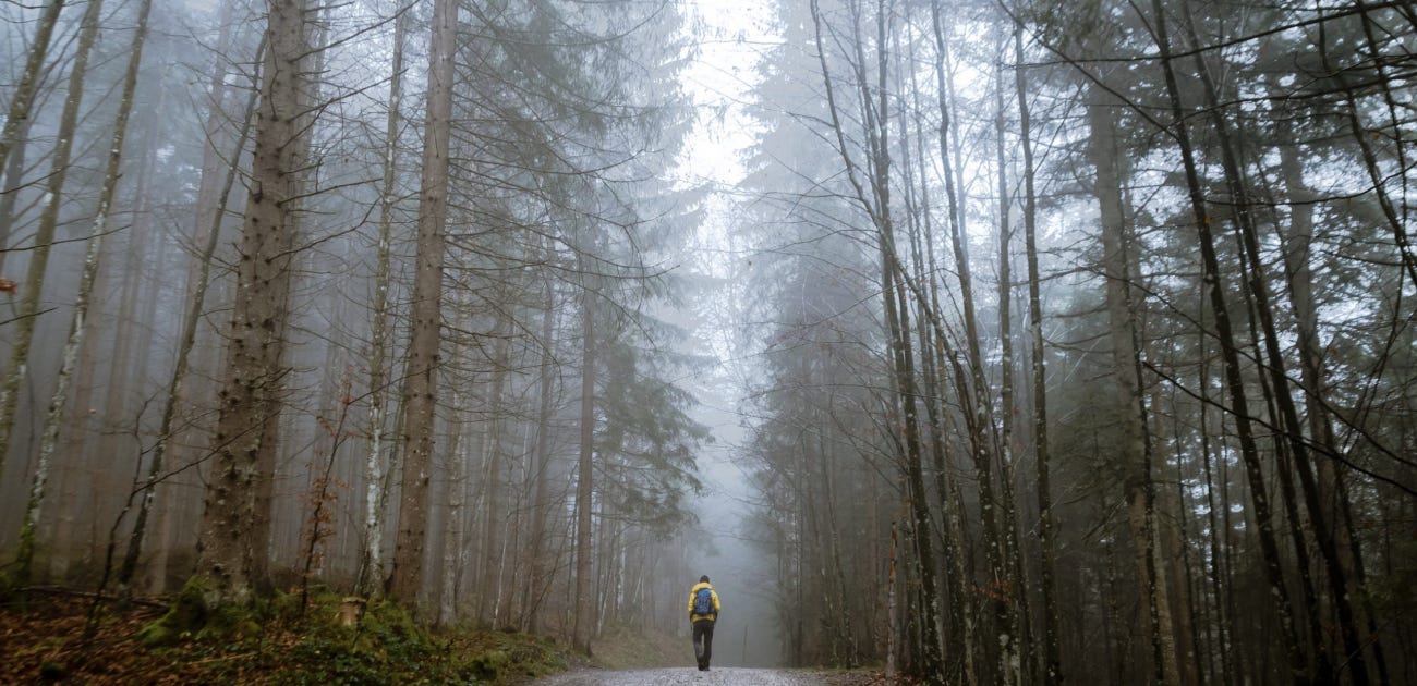 Lecciones del Camino de Santiago para emprendedores Lecciones del Camino de Santiago para emprendedores
