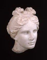 Agnodice