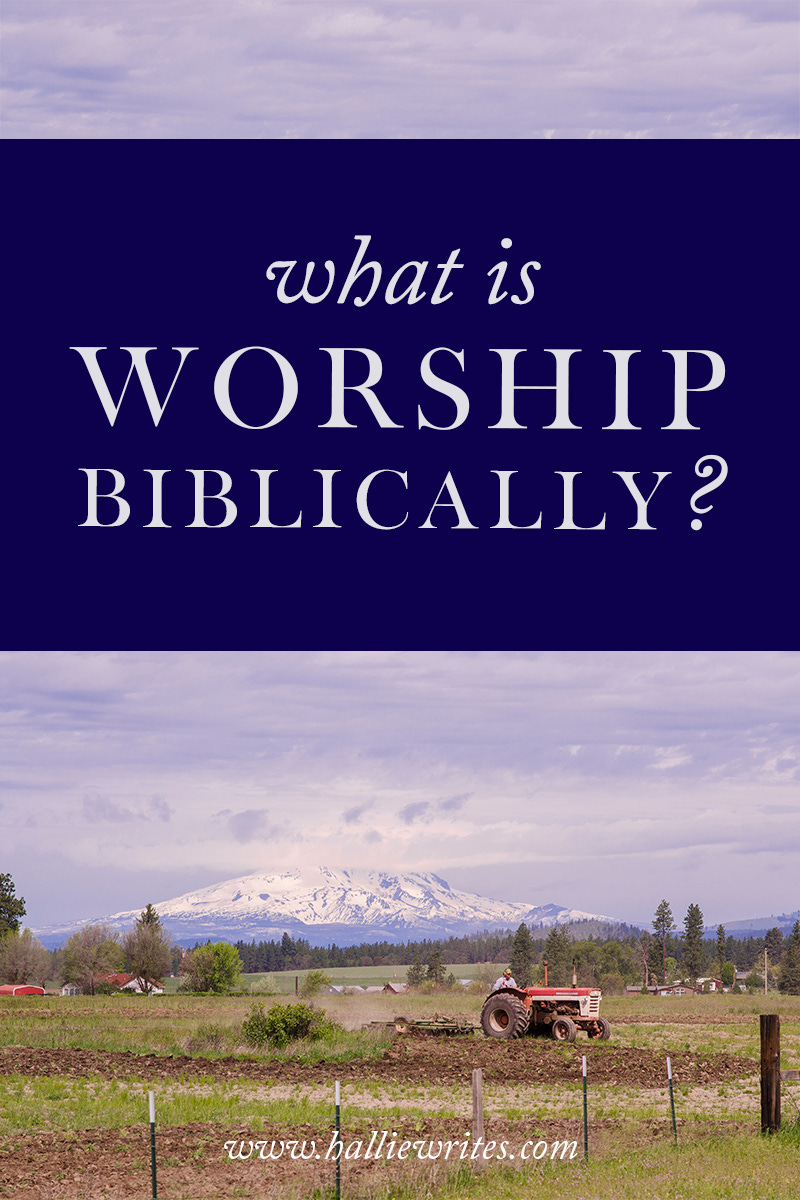 Biblical vocabulary: What is worship? Is it the same thing as praise and singing, or is it something more?